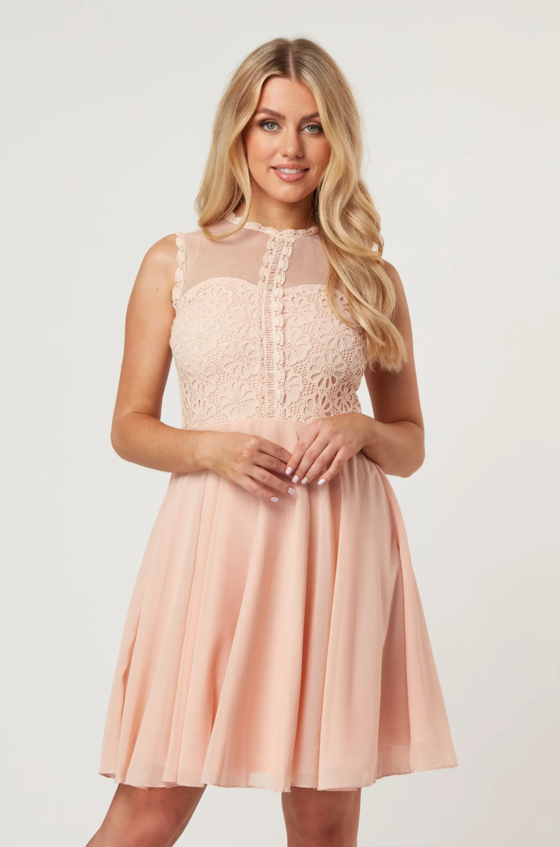 Carlie Blush Tulle and Lace Skater Dress